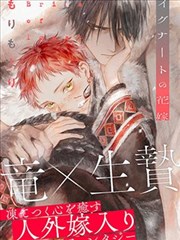 海贼王漫画在线空岛篇收藏条目封面